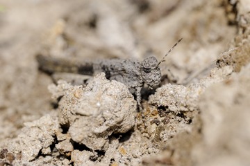 23956173-8D78-4ABB-90E4-09FAA5C3AC23/L0/001