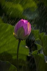 5F7K8755_new
