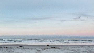R0002328-43-5