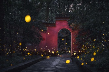 古寺流萤