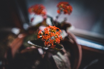 709804