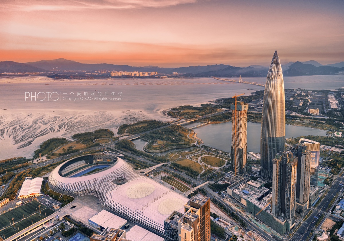 深圳湾 春笋  春茧