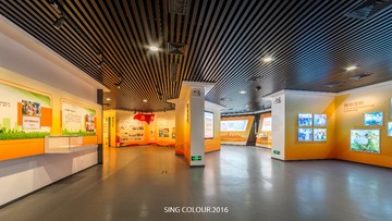 DSC_8316-HDR