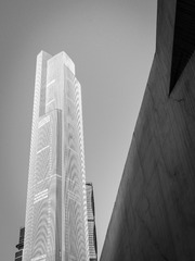 DSC_8493-2
