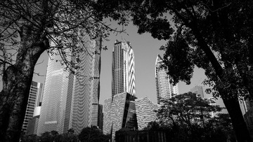 DSC_8495-4