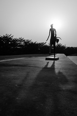 DSC_8568-3
