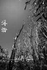 001