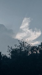 1000026041