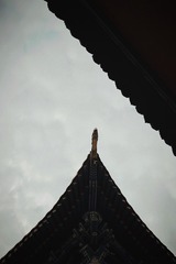 6DAB5B88-1AEE-4230-9215-F270E35B42FD/L0/001