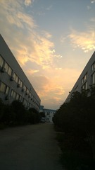 WP_20160809_18_36_47_Pro[1]