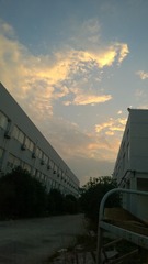 WP_20160809_18_42_58_Pro[1]