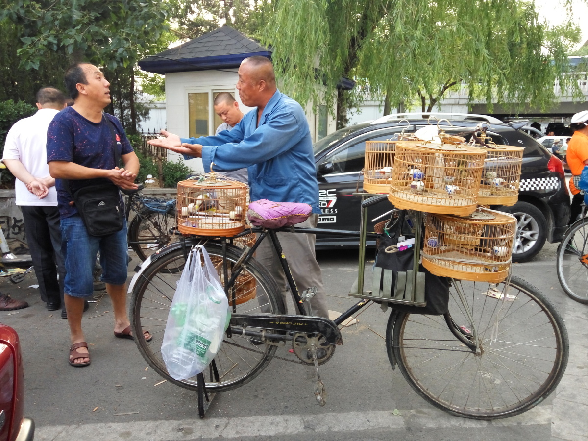 十里河花卉市场