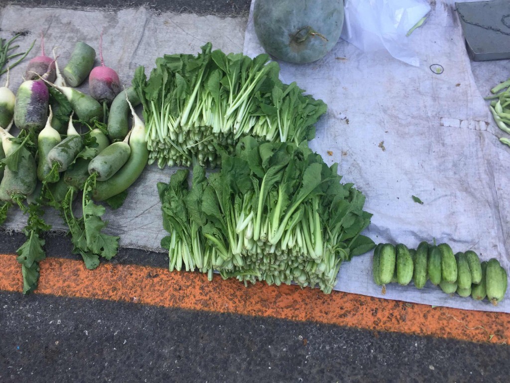 大连大菜市蔬菜批发价格,大连新大地水果批发市场北京分店出现
