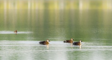 _DSC0175