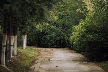 157548
