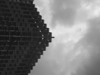 _6300136