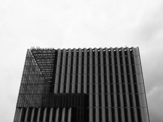 _6300132