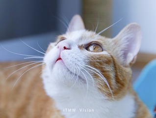 _DSC8972