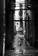 _DSC9439