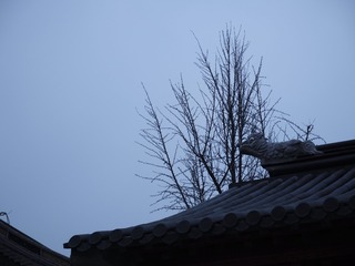 _1130138