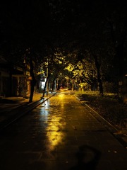 _6300092