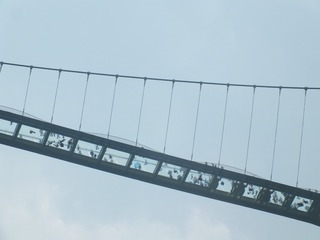508233