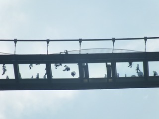 4169326