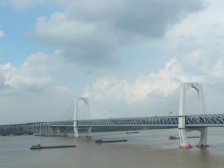 4169356