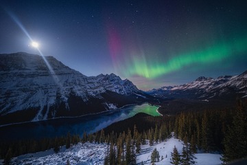 14615
