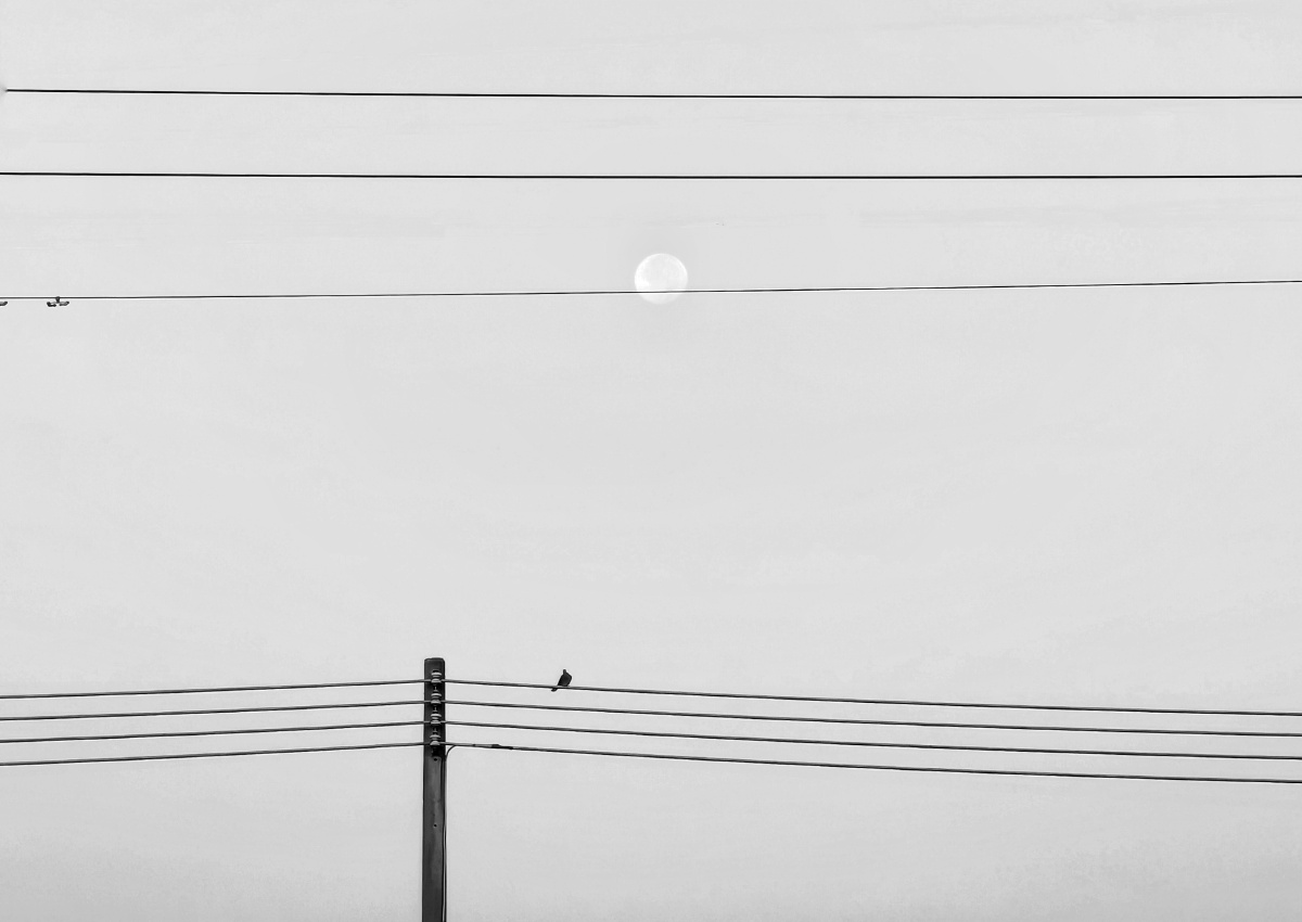 黑白极简构图片