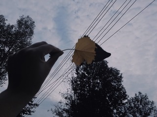 2242405