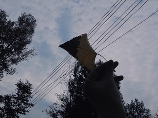 2242404