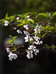 80D542DB-4F6B-4CAD-9073-BA2A34988523/L0/001