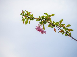 EB5E164F-89FB-4DC8-B86E-AD17105C68A1/L0/001