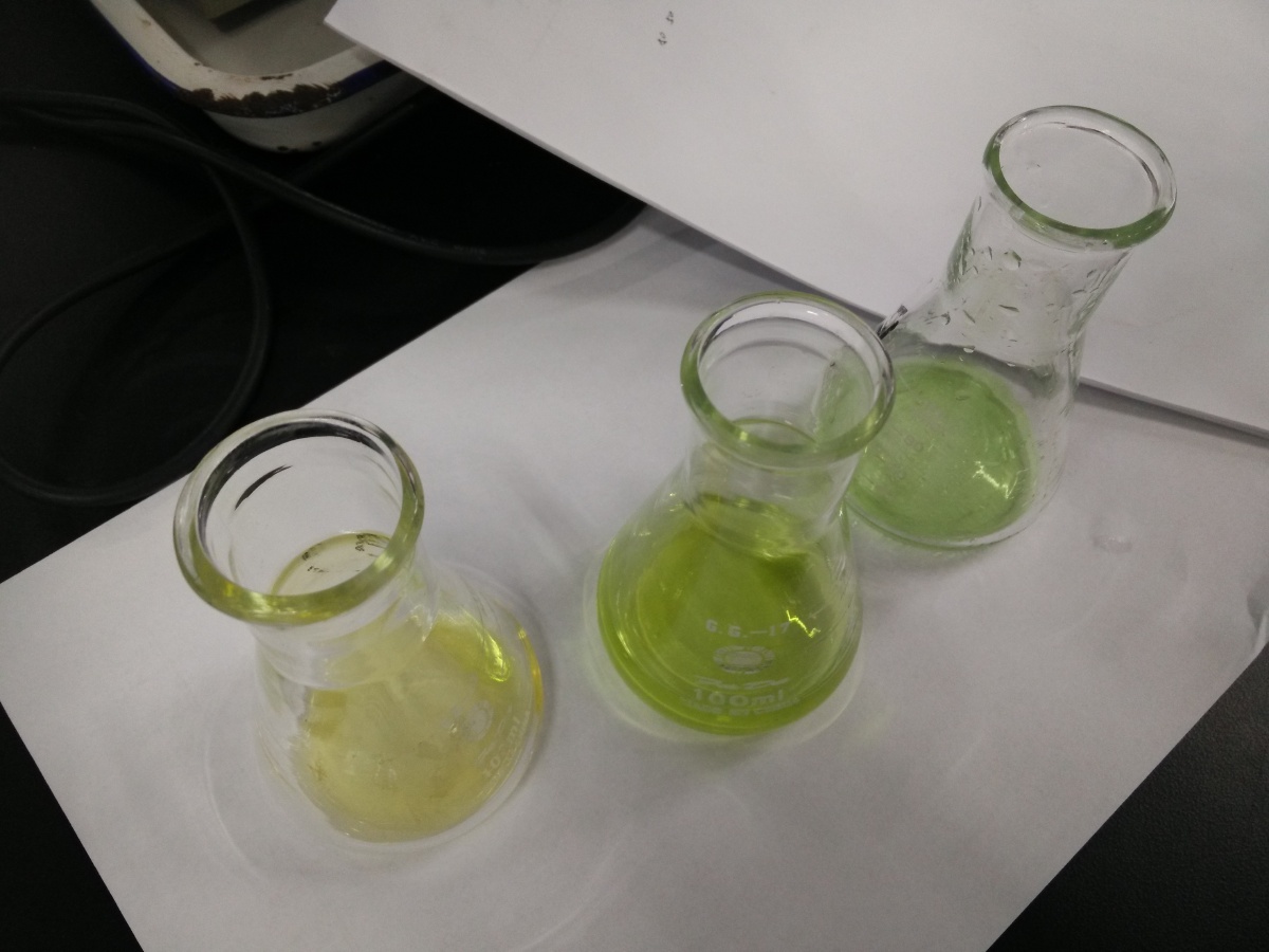 叶绿素的提取与分离.