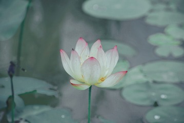 603