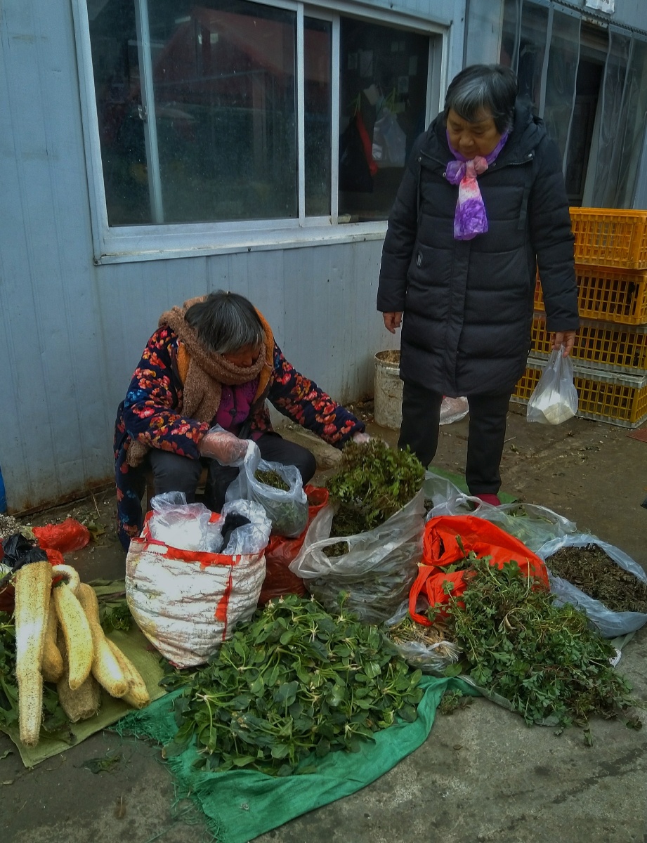 露天菜摊丝瓜瓤野菜乡村老妇看着这张照片想起小时候看过的一部电影
