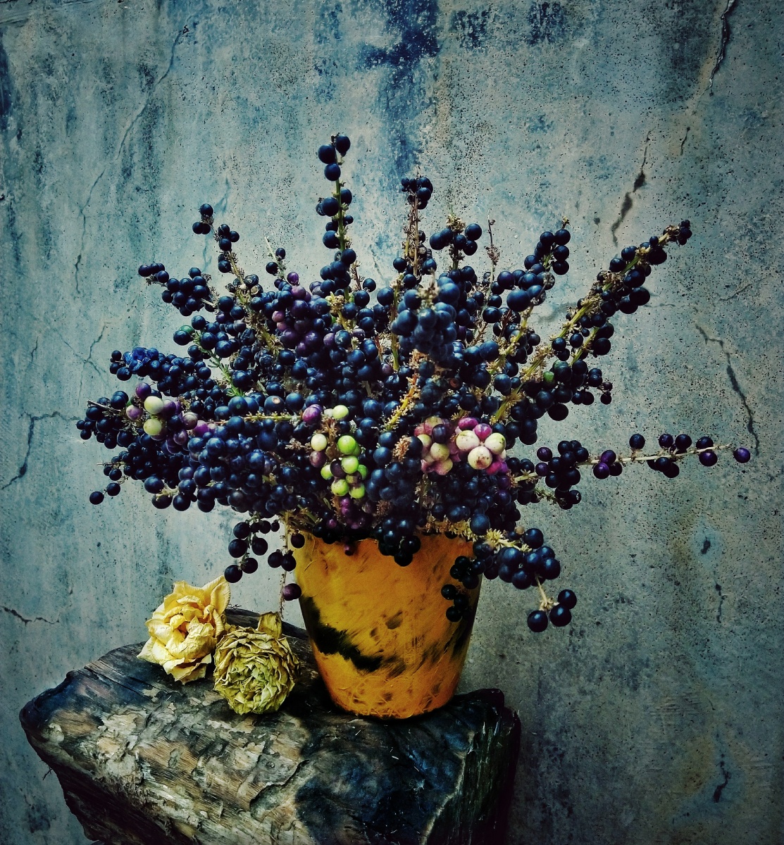 植物之美静物随拍干花插花