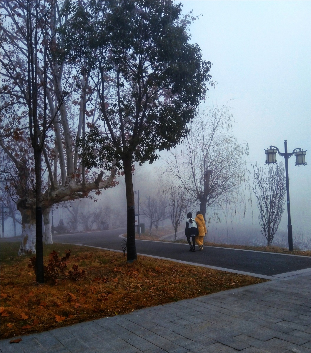 雾天公园随拍