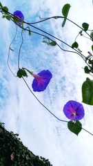 4EBBBCCC-1C4C-428C-8AA3-73F8C335FECF/L0/001