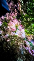 A931A6A5-AF91-457A-85E3-DA4457DB4F6C/L0/001