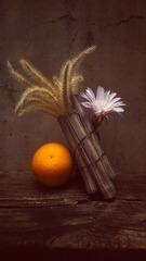 CCFAA09D-84E3-4C08-9574-55E818C7A7B0/L0/001