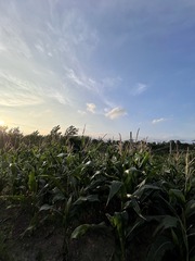 9274D518-004B-46FF-B5C1-0361DA7357C0/L0/001