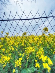 A7ED53A4-2B08-4FBB-B8EC-73FD48050C9B/L0/001