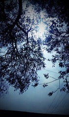 C360_2013-05-06-11-11-39-193