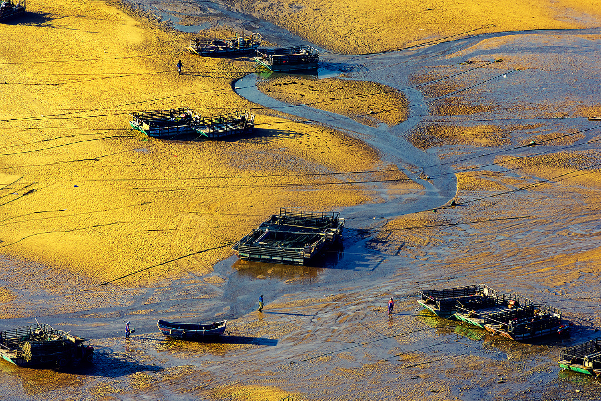 金色滩涂