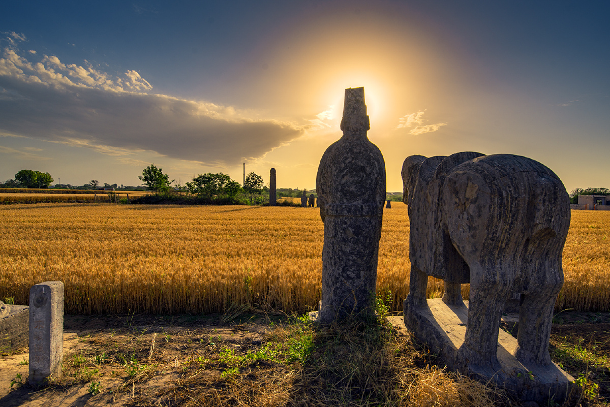 拍摄于巩义市宋陵