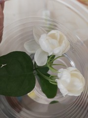 IMG_20160708_082821