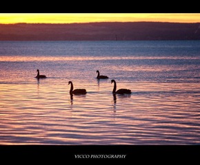 CRW_5531.jpg