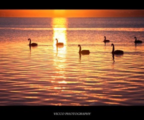 CRW_5534.jpg